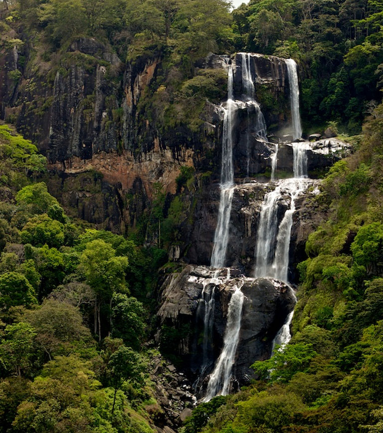 Udzungwa Mountains