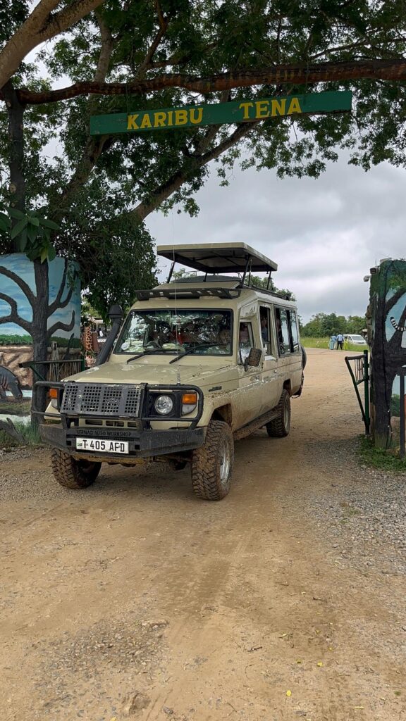 Mikumi National Park